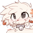sanedish